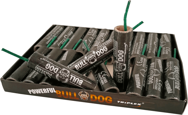 Bull Dog